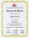 Award of Merrit 2006